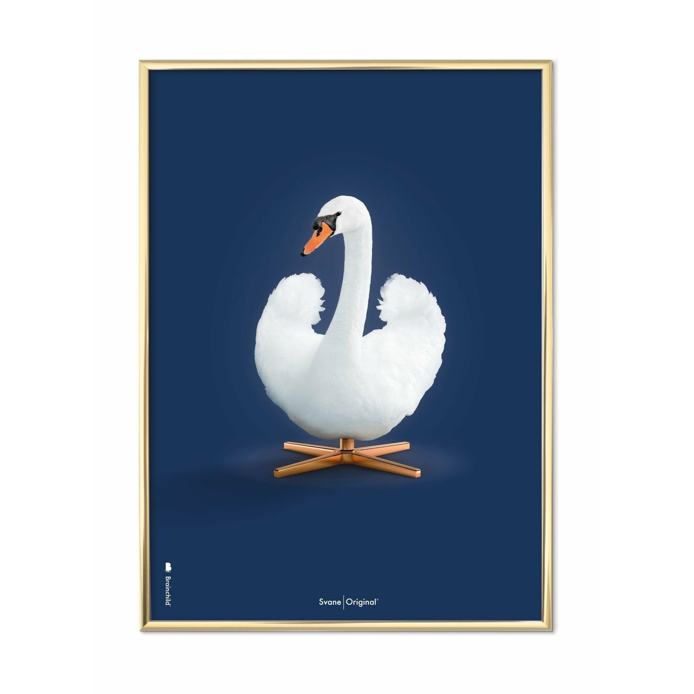 Brainchild Svane Klassisk Plakat, Messingfarvet Ramme 50X70 Cm, Mørkeblå Baggrund
