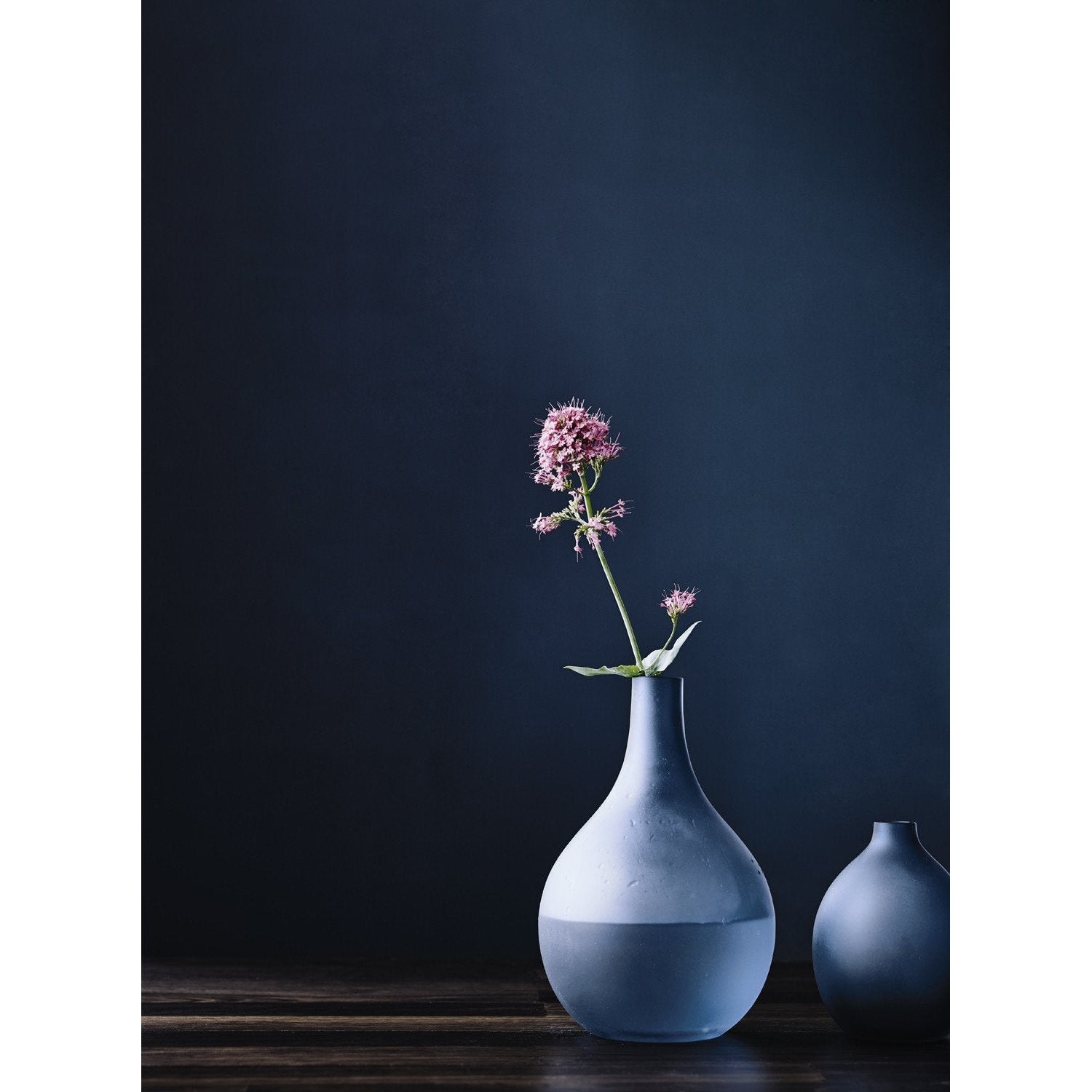 Lucie Kaas Sansto mellom vase, lyseblå