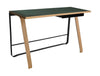 Bent Hansen Hemingway Skrivebord med Skuffe L 120 cm, Matlakeret Eg/Conifer Green Linoleum