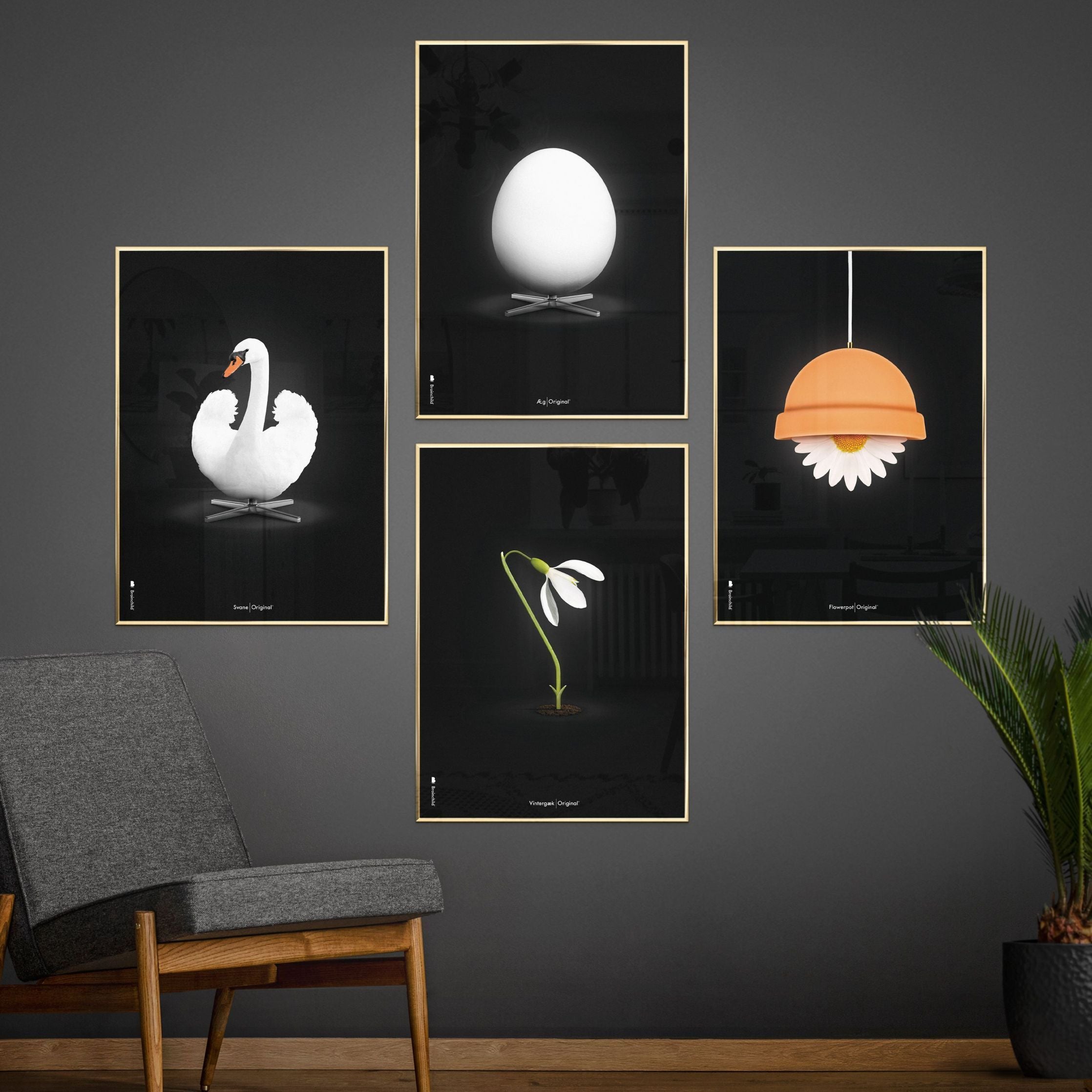 [product_category]-Brainchild Flowerpot Classic Poster, Frame In Black Lacquered Wood 70x100 Cm, Black Background-Brainchild-81004-C-BRA-7