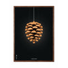 Brainchild Pine Cone Classic Poster, Frame Made Of Dark Wood 30x40 Cm, Black Background