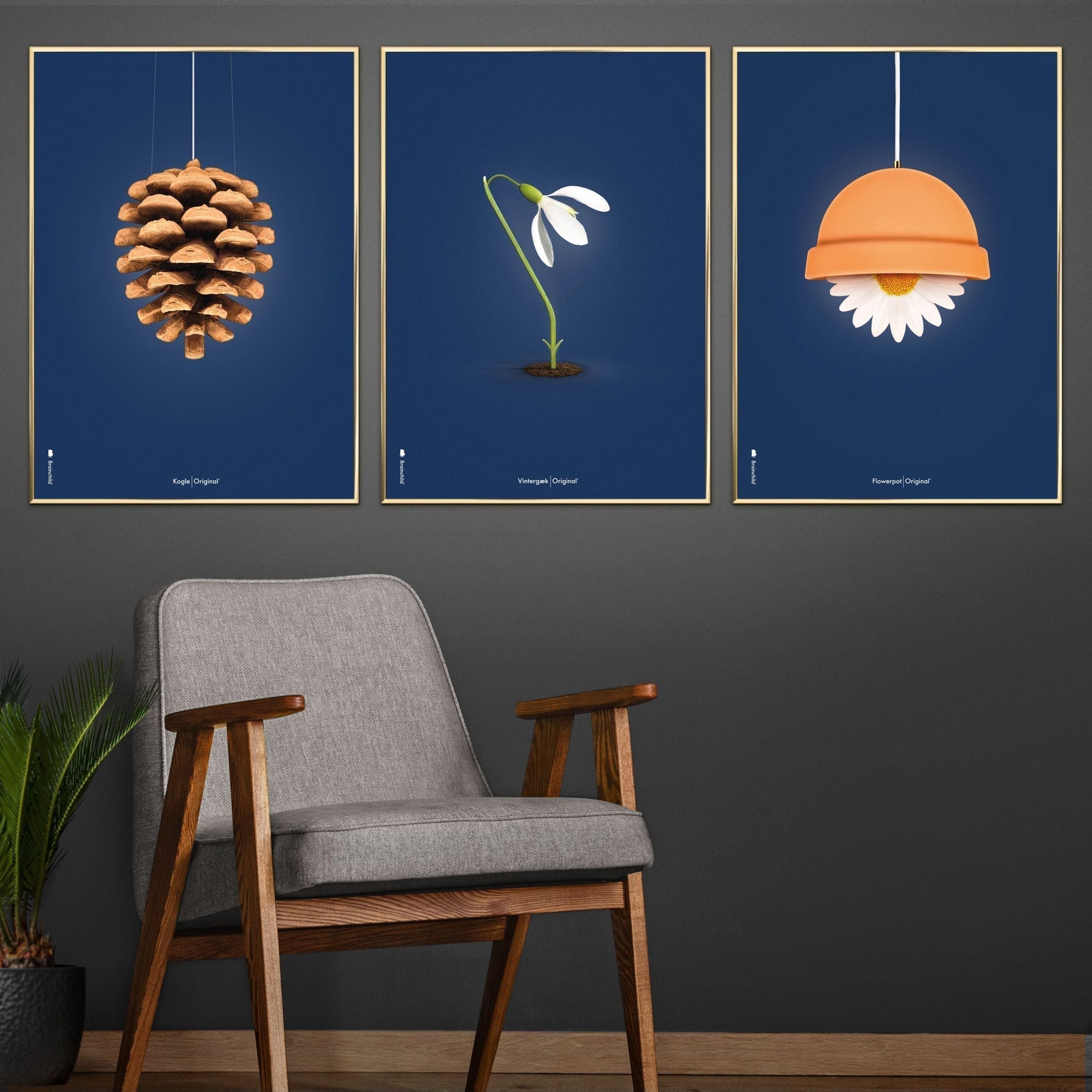 [product_category]-Brainchild Pine Cone Classic Poster, Frame Made Of Dark Wood 50x70 Cm, Dark Blue Background-Brainchild-26003-B-BRA-10