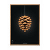 Brainchild Pine Cone Classic Poster, Frame Made Of Light Wood 50x70 Cm, Black Background