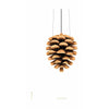 Brainchild Pine Cone Classic Poster Without Frame 30x40 Cm, White Background