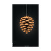 Brainchild Pine Cone Classic Poster Without Frame 70 X100 Cm, Black Background