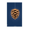 Brainchild Pine Cone Classic Poster Without Frame 70x100 Cm, Dark Blue Background