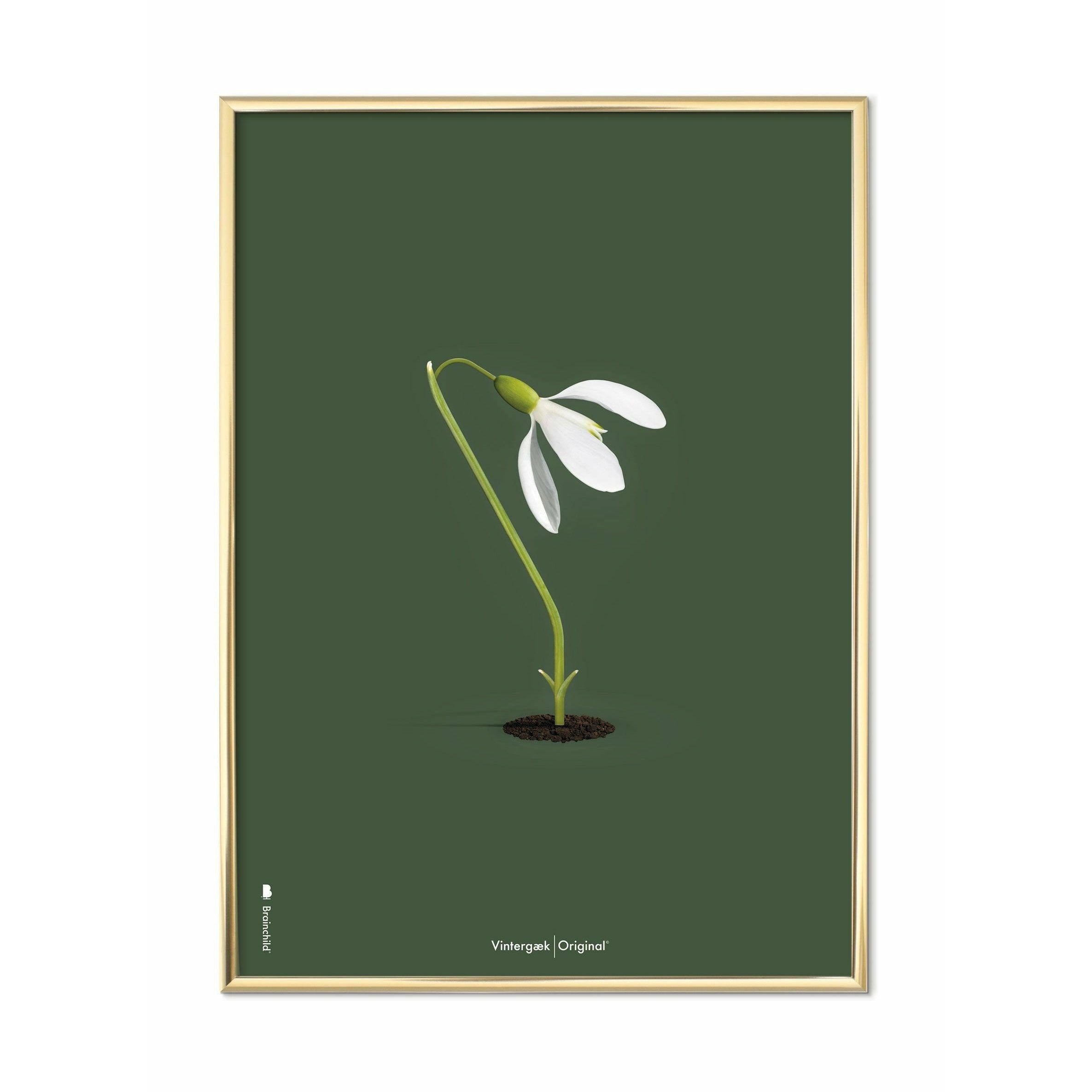 [product_category]-Brainchild Snowdrop Classic Poster, Brass Frame 70x100 Cm, Green Background-Brainchild-61004-D-BRA-1