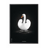 Brainchild Swan Classic Poster, Frame In Black Lacquered Wood 30x40 Cm, White/White Background