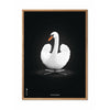 Brainchild Svane Klassisk Plakat, Ramme I Lyst Træ 50X70 Cm, Hvid/Sort Baggrund