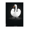 Brainchild Swan Classic Poster Without Frame 30 X40 Cm, White/White Background