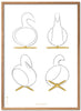 Brainchild Swan Design Sketches Poster Frame Made Of Light Wood 70x100 Cm, White Background