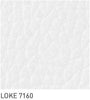 Carl Hansen Sample, Loke 7160