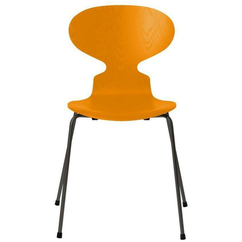 [product_category]-Fritz Hansen Ant Chair Dyed Ash Burnt Yellow Shell, Warm Graphite Base-Fritz Hansen-3101-FARVET-BURNT-WARM-FRI-1