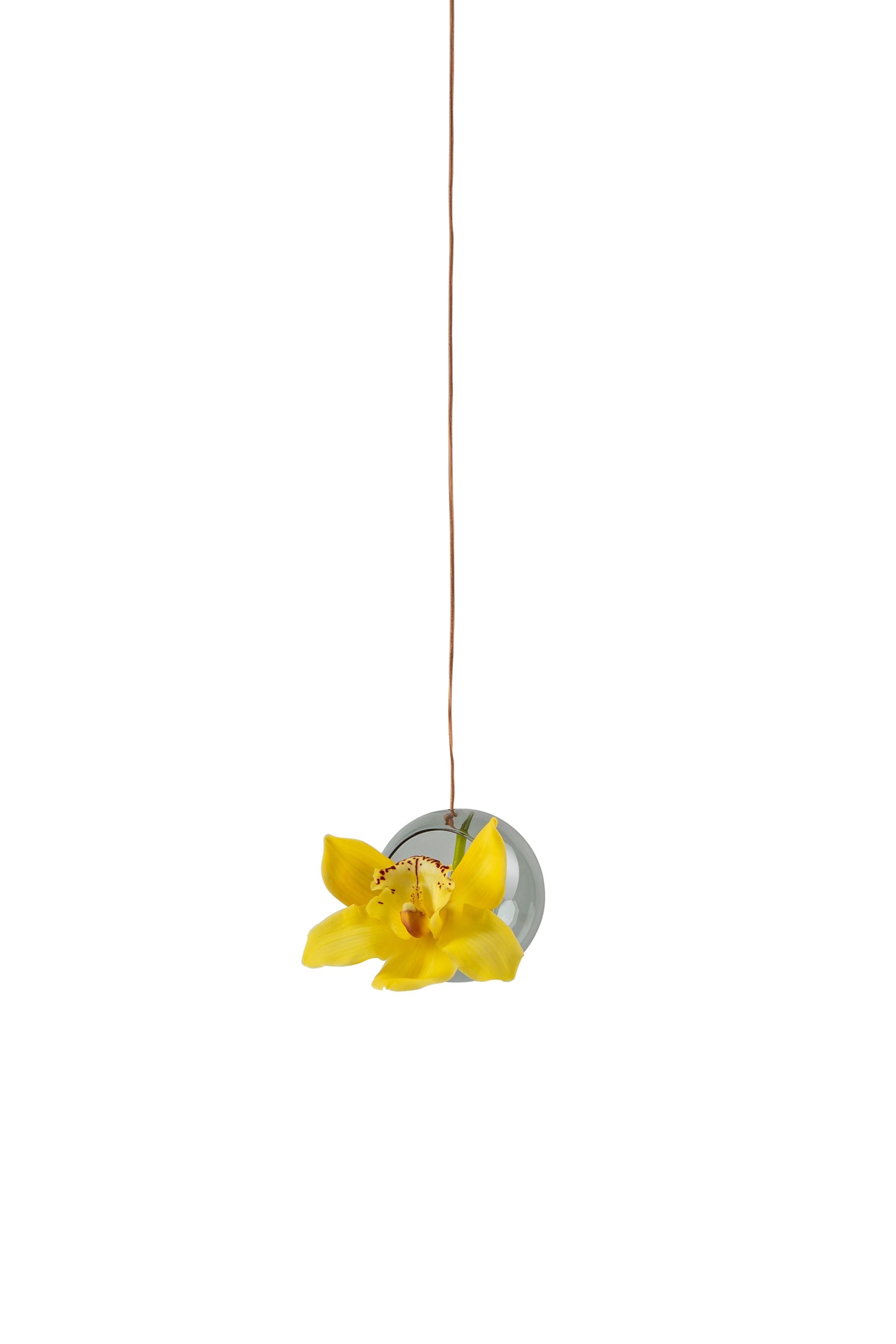 [product_category]-Studio About Hanging Plant Bubble Vase Small, Transparent-Studio About-5714356001035-8055T-STU-1