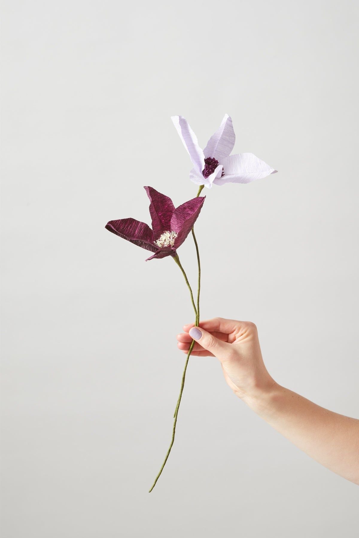 [product_category]-Studio About Paper Flower Clematis, Aubergine-Studio About-5714356014110-150440A-STU-4