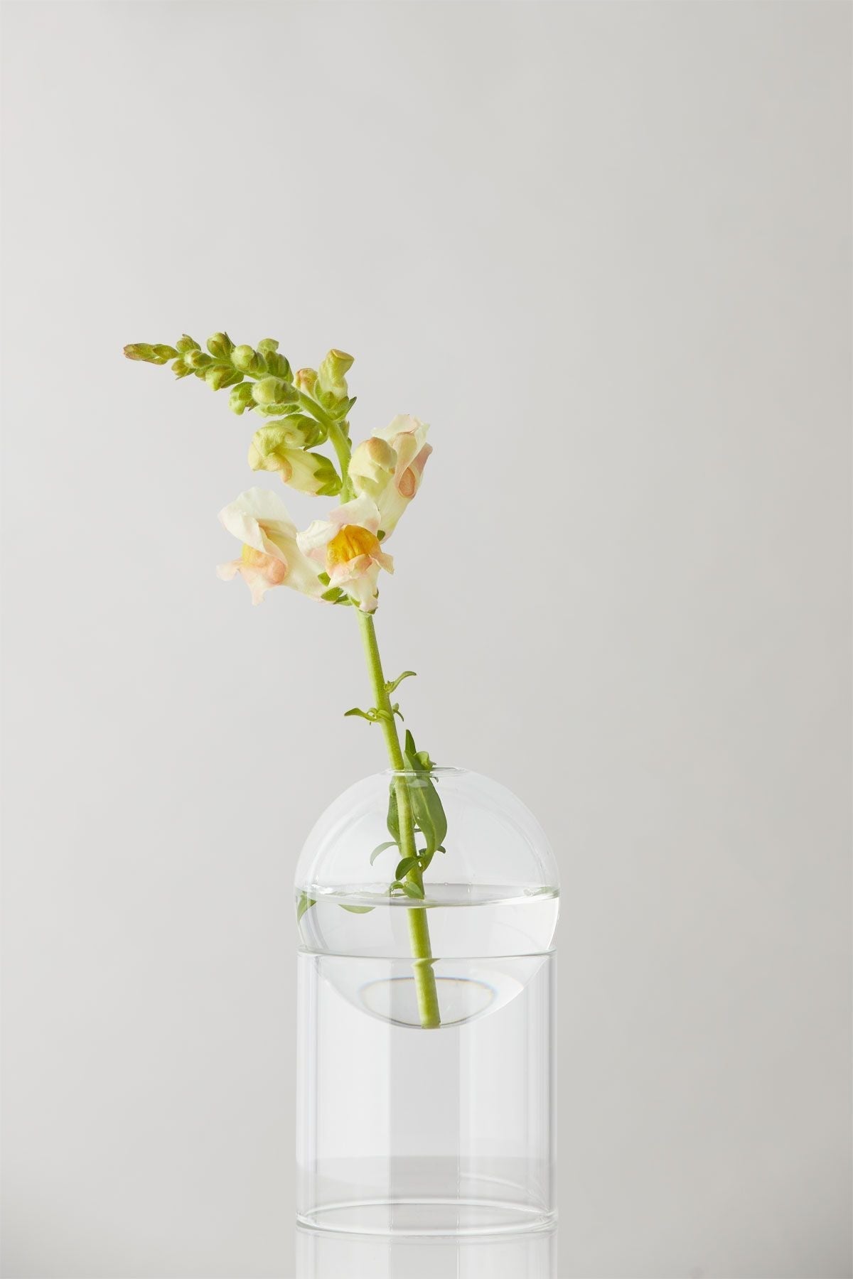 [product_category]-Studio About Standing Flower Bubble Vase 13 Cm, Transparent-Studio About-5714356009062-802080T-STU-5