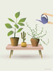 Vissevasse Growing Plants Poster, 15x21 cm