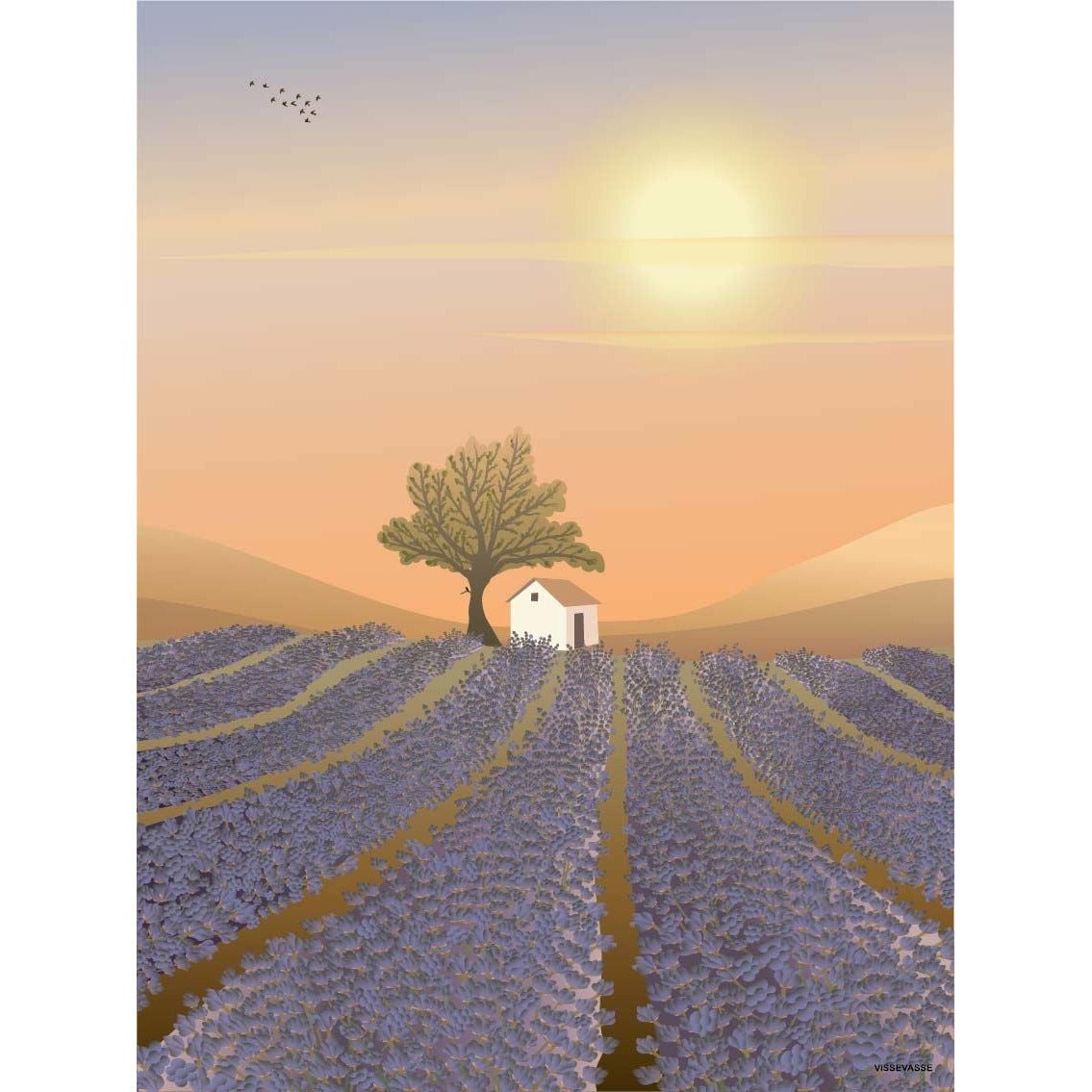 [product_category]-Vissevasse Lavender Field Poster, 50x70 Cm-Vissevasse-5713138107736-F-2021-077-L-VIS-1