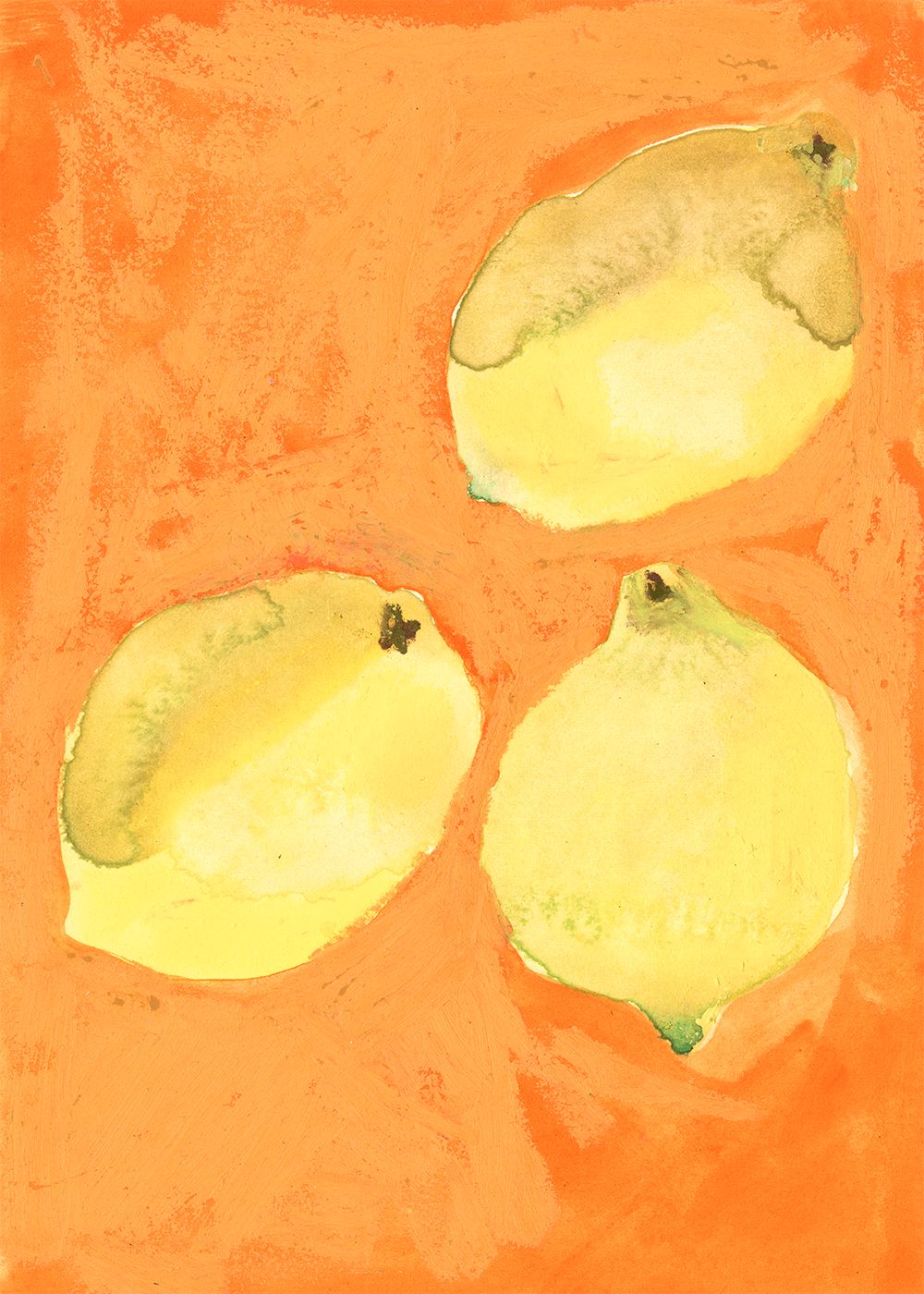 Paper Collective citroner plakat, 30x40 cm