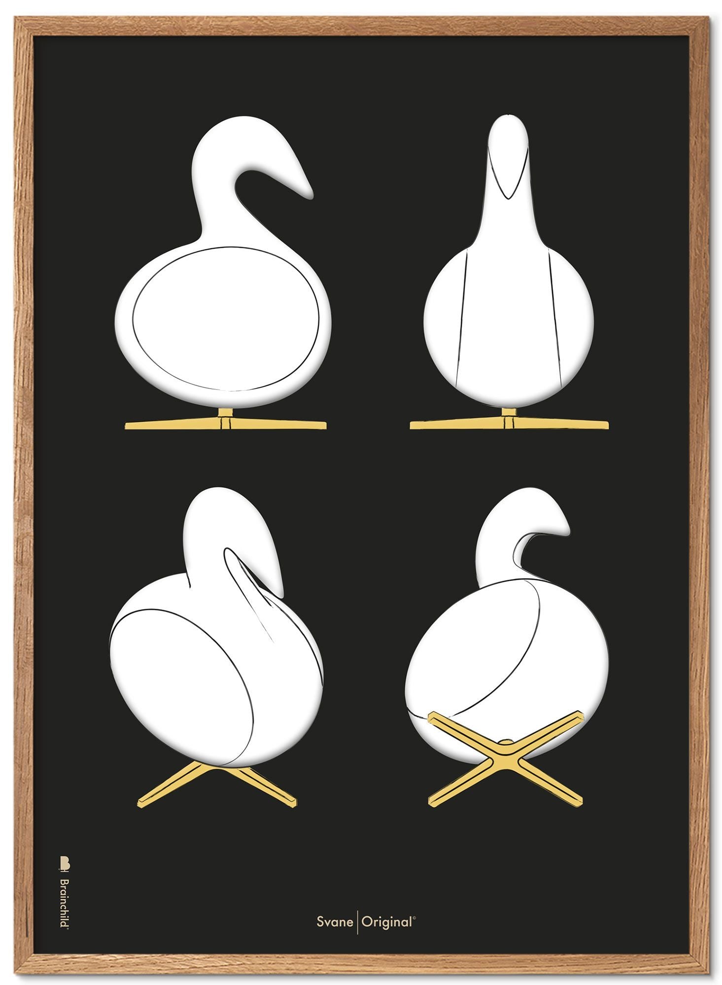 Brainchild Swan Design Sketches Poster Frame Made Of Light Wood 70x100 Cm, Black Background