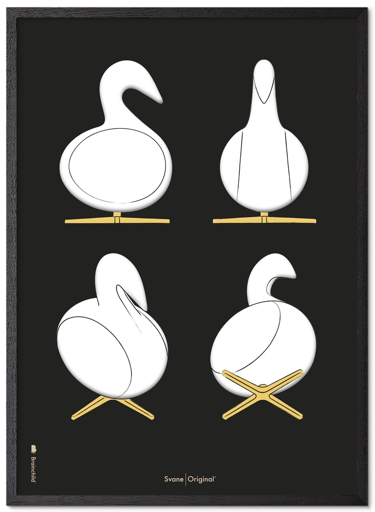 Brainchild Swan Design Sketches Poster Frame Made Of Black Lacquered Wood 70x100 Cm, Black Background